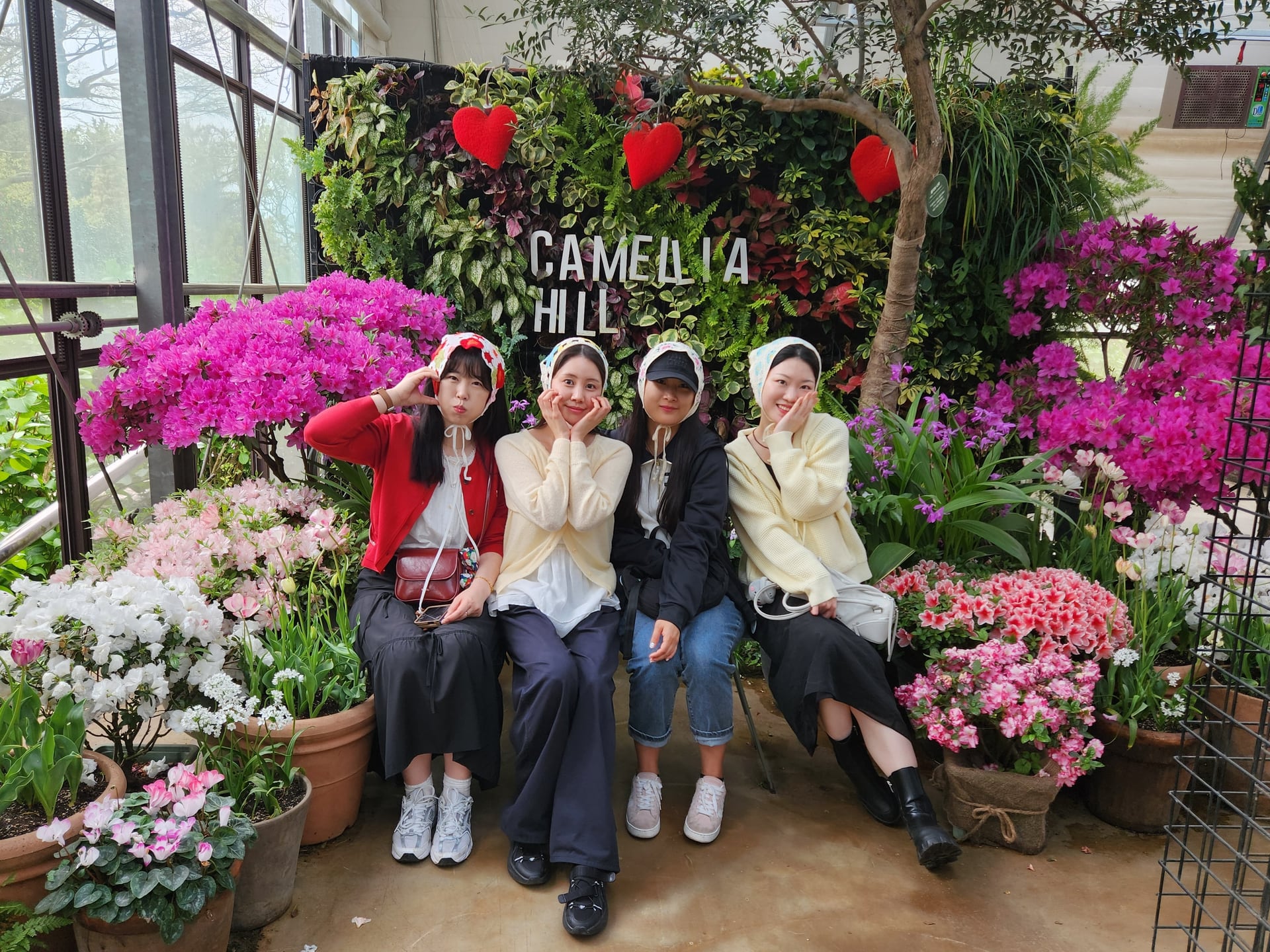 2026.04.17-19 주식회사 엠에스씨 21주년 기념 제주도 워크숍 이미지 26